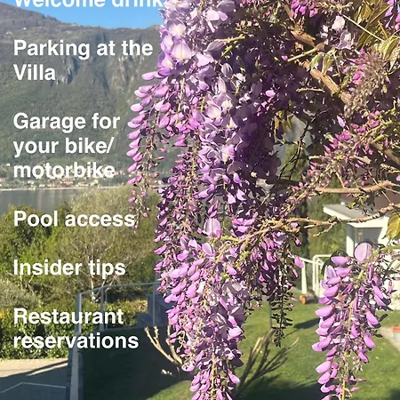 Oda ve Kahvaltı Monte Bianco 3*